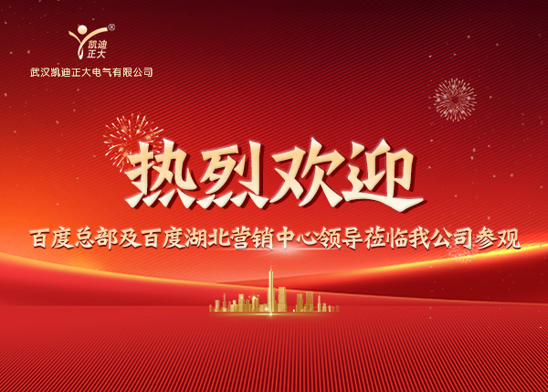 百度總部及湖北營銷中心領導蒞臨我司，共繪合作新藍圖